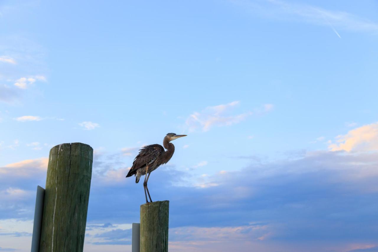 Apartamento Breakers 215 Hilton Head Island Exterior foto